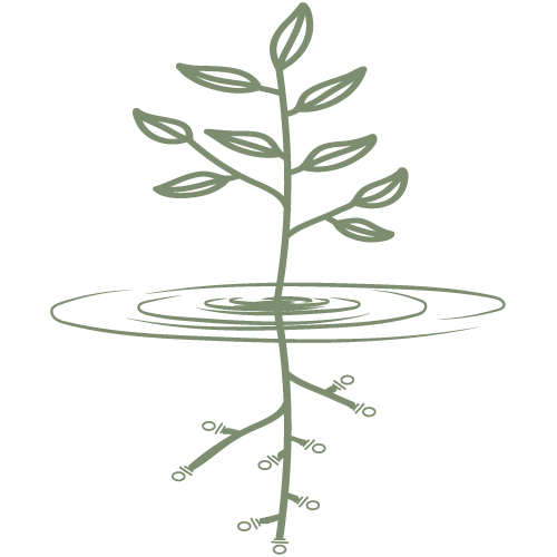 Living Channels Integrative Medicine