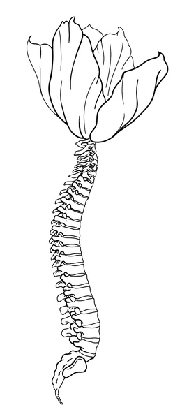 Magic Skagit Chiropractic, Dr. Kaylee English DC