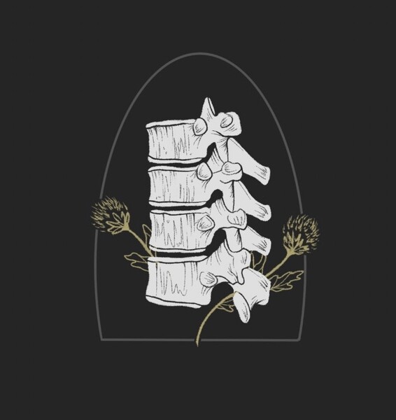 Jarvis Chiropractic